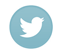 twittericon2